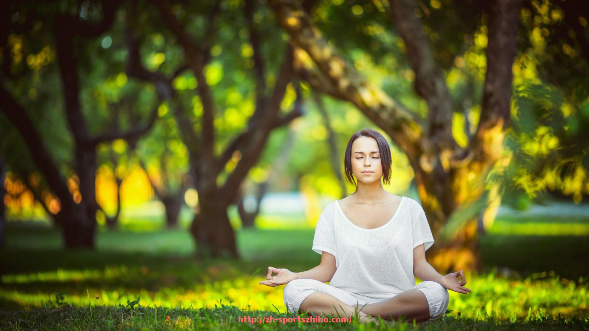 体育直播-世俱杯射门次数年度数据对照:攻击欲望与进球效率的平衡