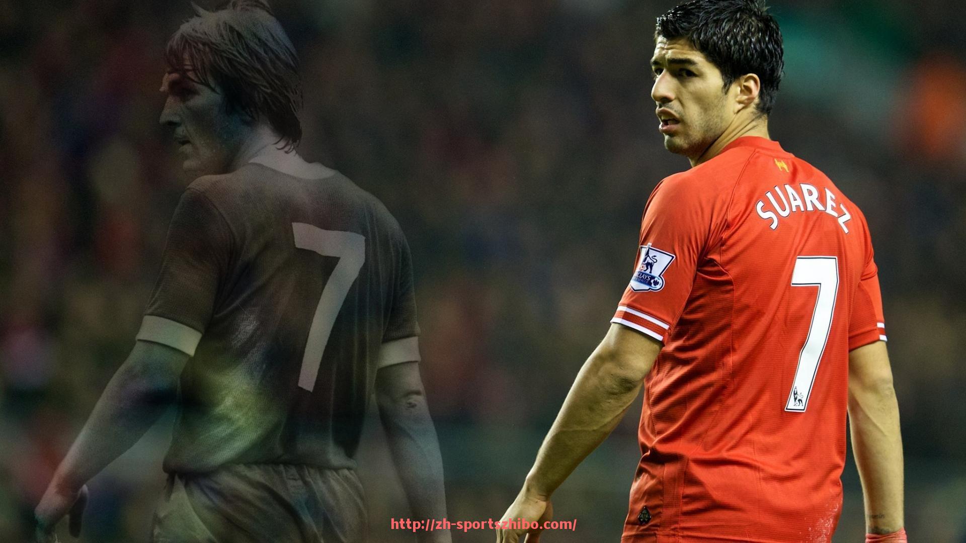 体育直播-世俱杯观众人数统计及观赛人群结构分析