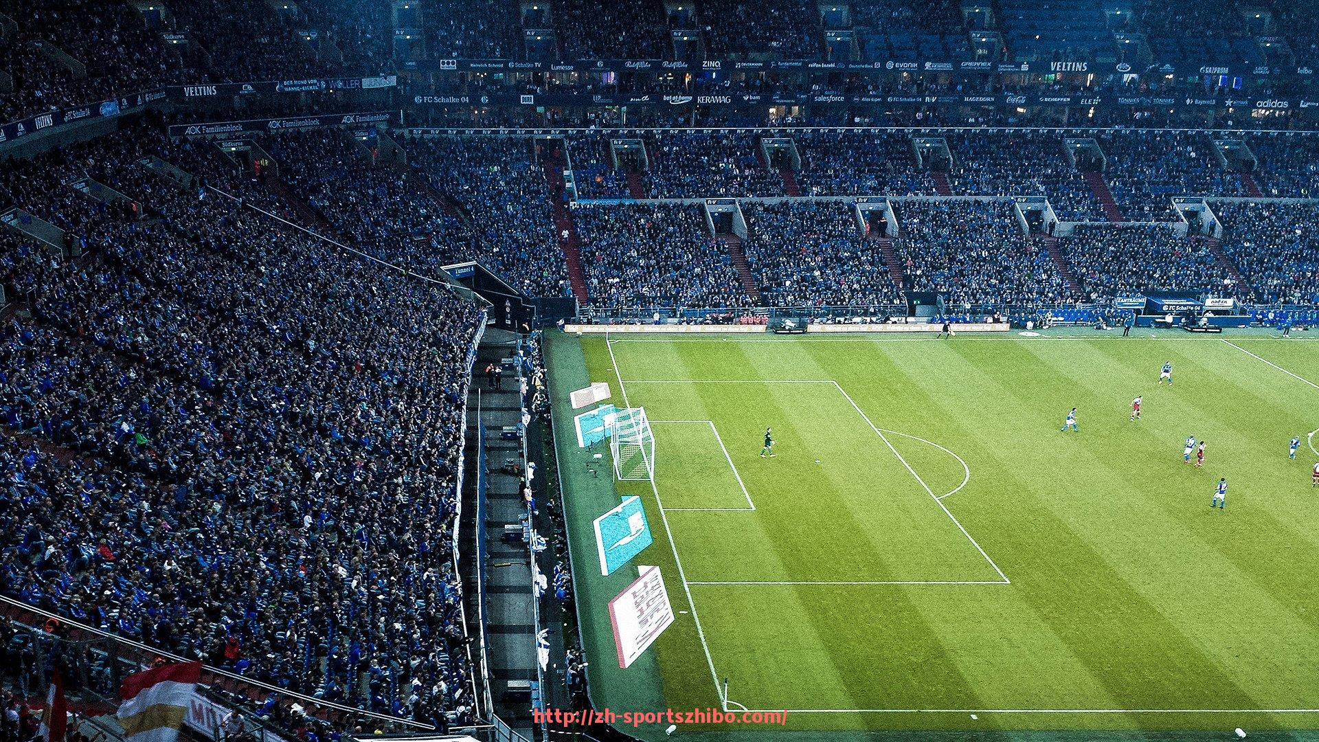 体育直播-家用拉伸锻炼健身器材推荐及使用方法